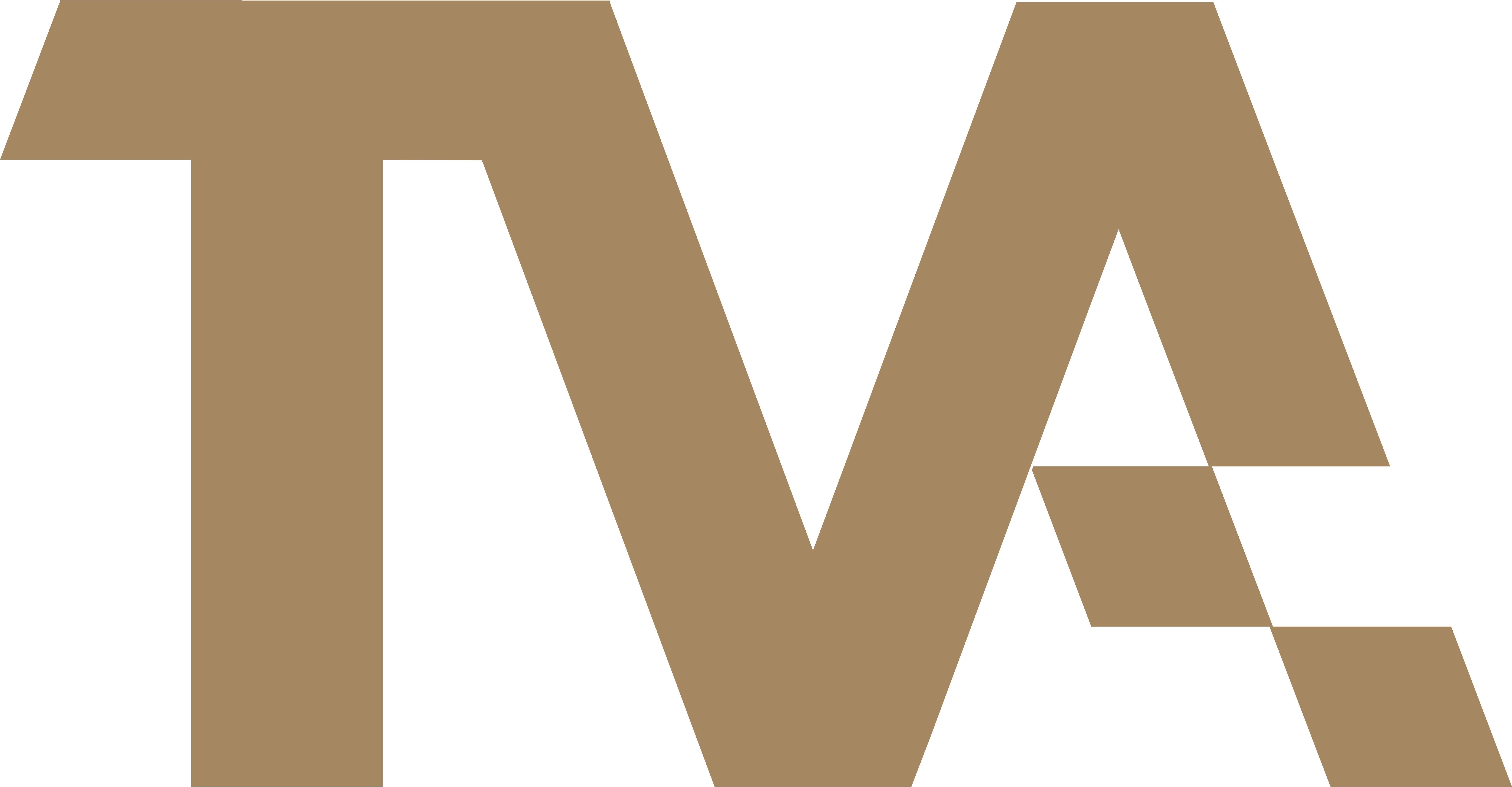 The Vision Advisory